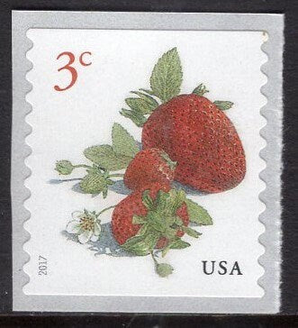100 RED STRAWBERRIES 3c 12 Strips of 8 + 1 Strip of 4 - FRUIT