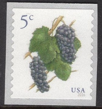 100 GRAPES 5c 12 Strips of 8 + 1 Strip of 4 - FRUIT