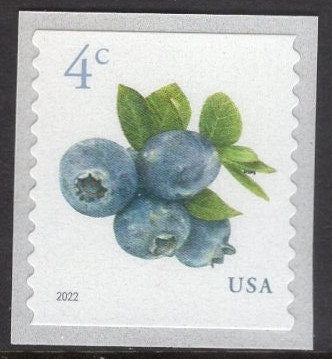 100 BLUEBERRIES 4c 12 Strips of 8 + 1 Strip of 4 - FRUIT