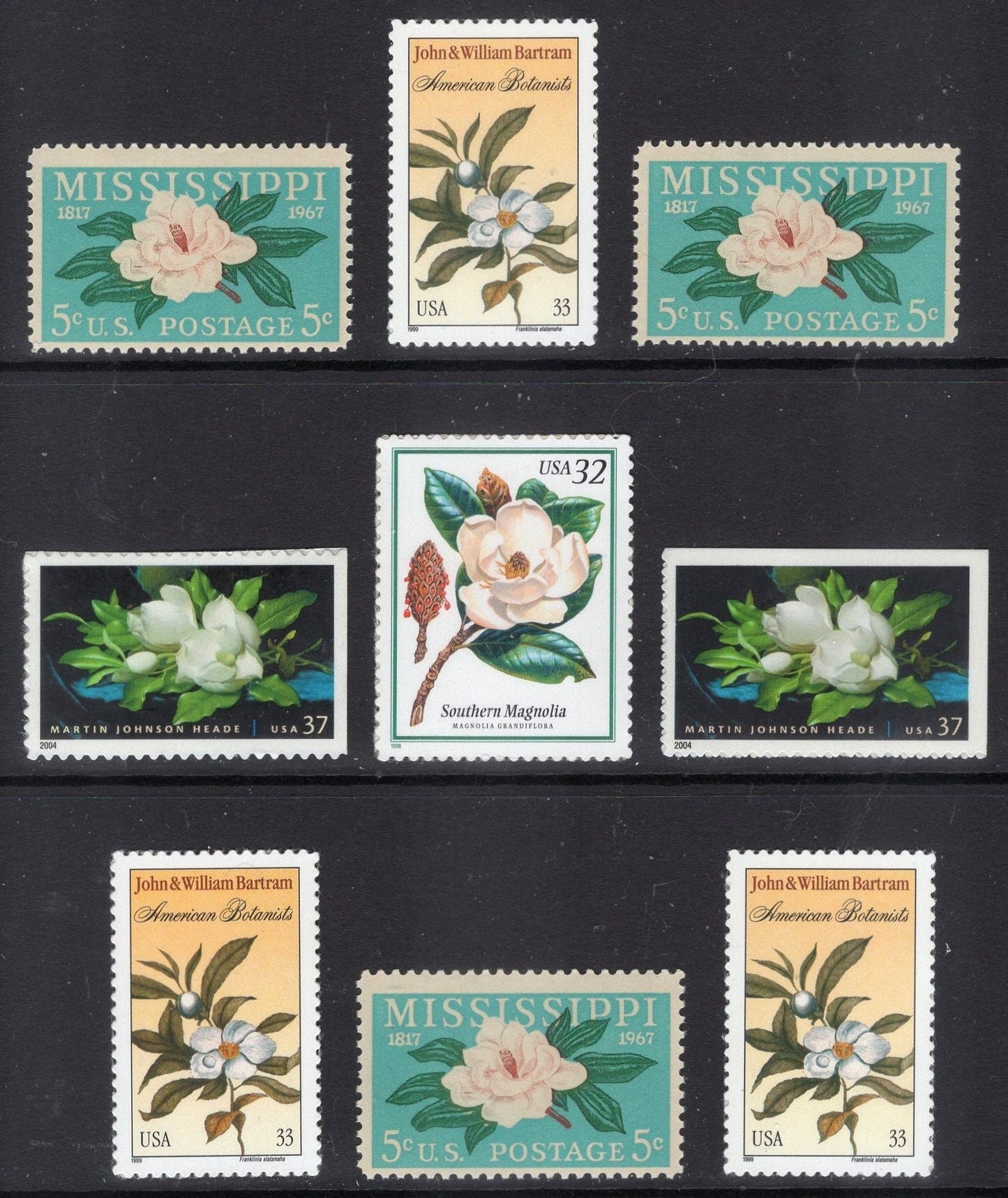 MAGNOLIA Collection of 9