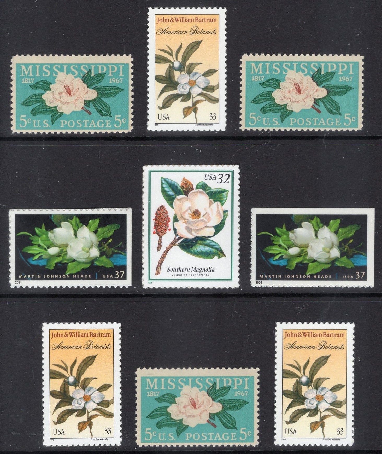 MAGNOLIA Collection of 9