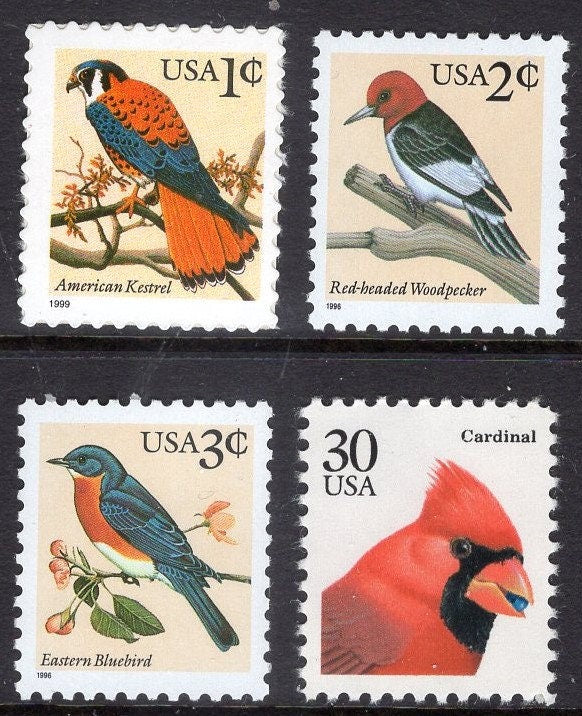 4 COLORFUL BIRDS - 10 each - Kestrel Woodpecker Bluebird Cardinal