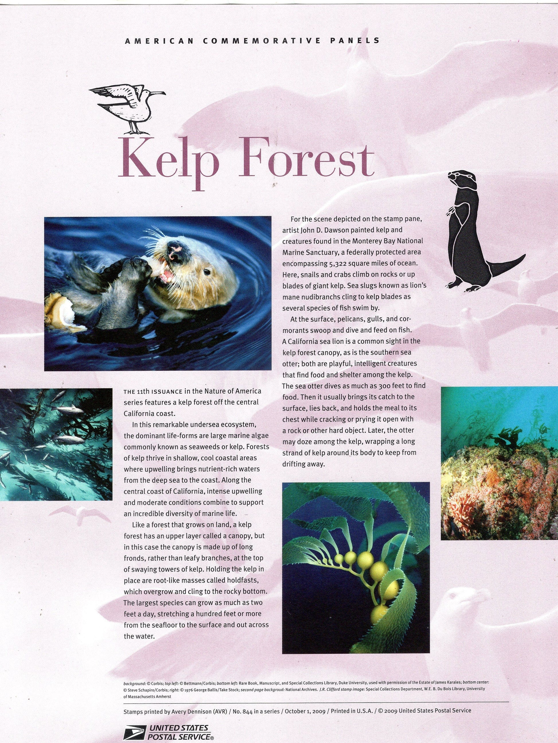 KELP FOREST Nature Sea Life Two Commemorative Panels with Sheet of 10